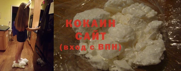 кокс Алексин