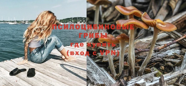 кокс Алексин