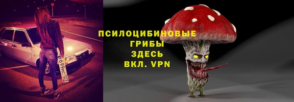 амф Алзамай