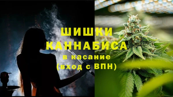 амф Алзамай