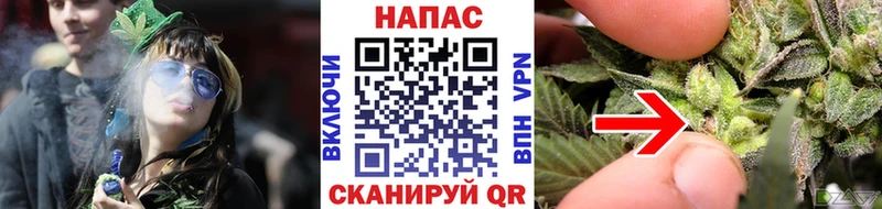 Шишки марихуана конопля  Лаишево 